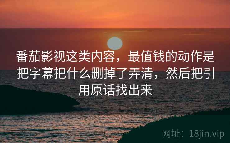 番茄影视这类内容，最值钱的动作是把字幕把什么删掉了弄清，然后把引用原话找出来